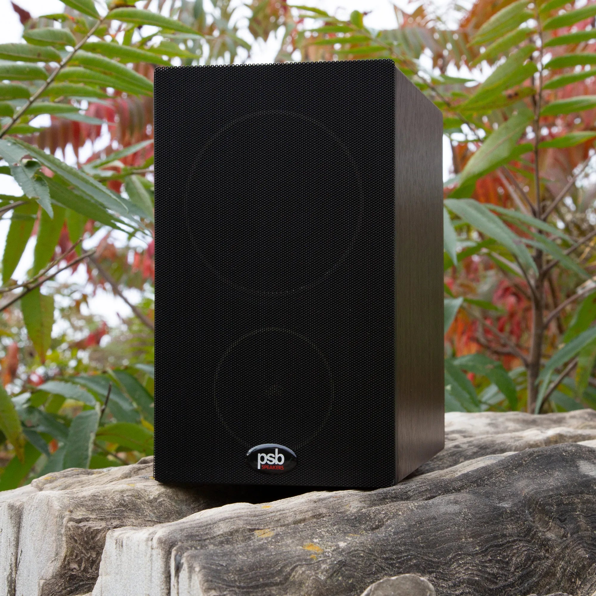 Unique Cabinet Design