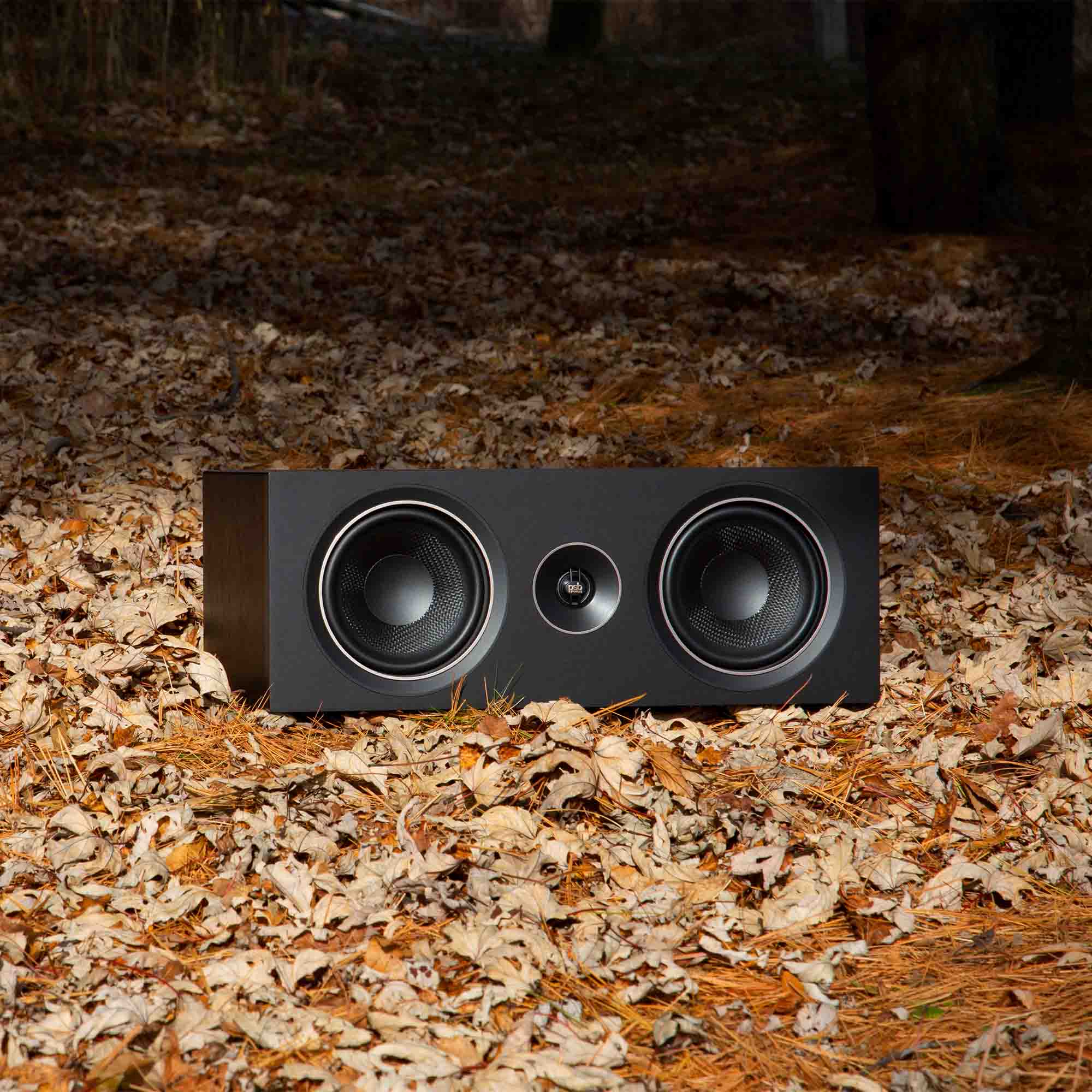 Crystal clear speech