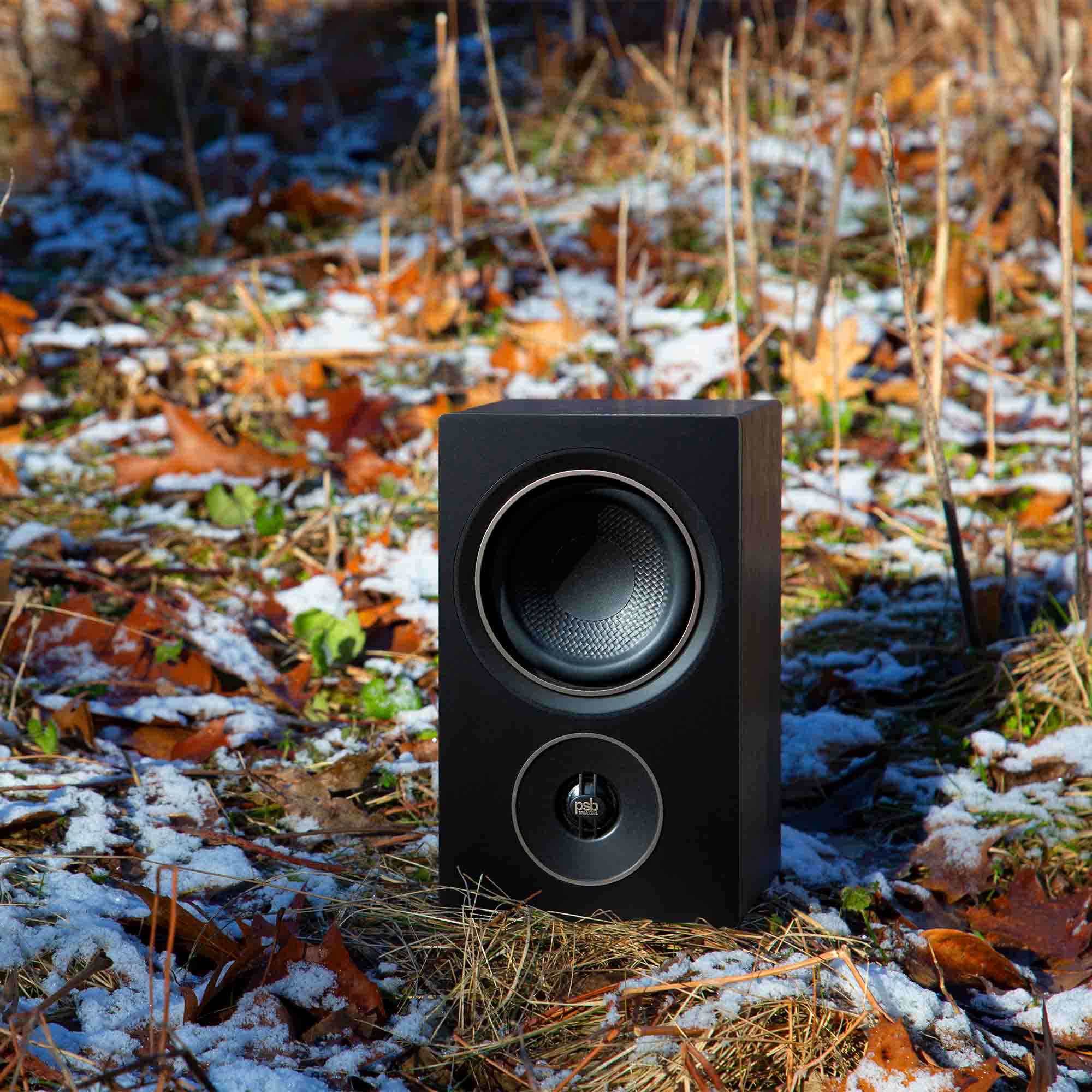 Big sound, small footprint 
