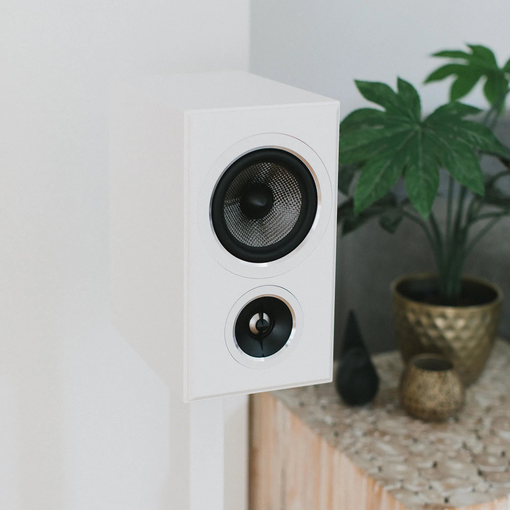 Bring your Entertainment to Life